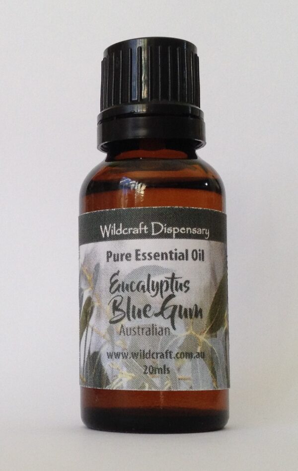 Australian Eucalyptus Blue Gum 100% Pure Essential Oil - 20ml