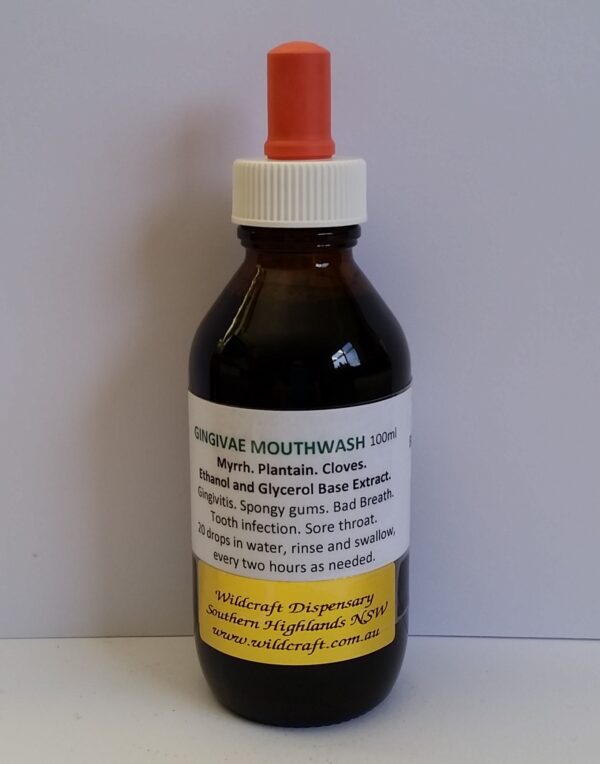 GINGIVAE MOUTHWASH 100ml Myrrh. Plantain. Cloves. Ethanol and/or Glycerol base herbal extracts for maximum strength and rapid absorption. Dose is diluted in water.